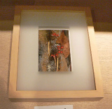 「みのりの時」中村 眞江