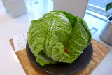 「白菜 or キャベツ」平 まさみ (2)
